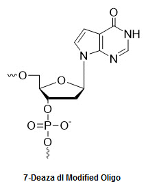 Bio-Synthesis Inc. Oligo Structure